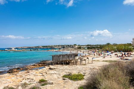 Full-day private guided tour of Formentera