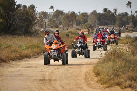 Half-day quad tour in Djerba with cultural and scenic highlights