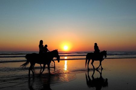 2-hour guided horse ride along the beach in Djerba
