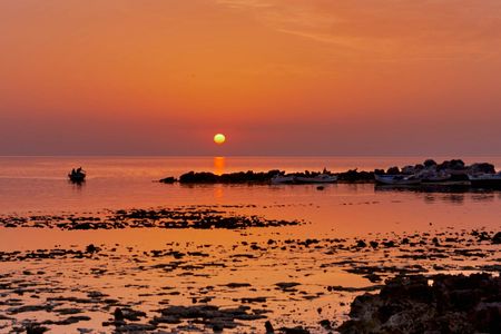 Sunrise horseback ride across Djerba's landscapes