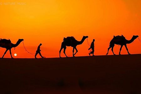 Southern Tunisia full-day guided tour with dinner in the desert