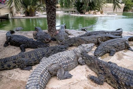 Djerba Explore Park tickets with pick-up