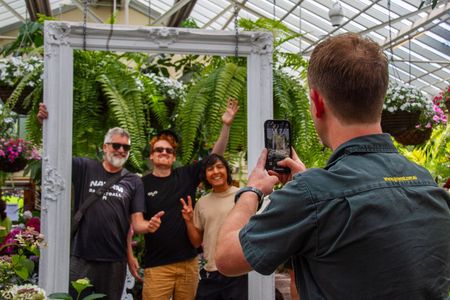 Half-day discovery tour of Melbourne City