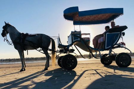 Half-day lagoon carriage ride with swim and lunch
