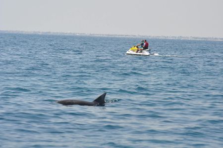 Jet ski adventure