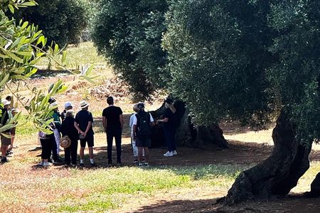 Olive oil tasting at a family-run mill in Ostuni