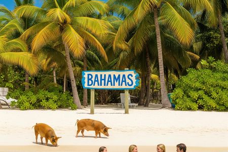 Grand Bahama tour with optional Pig Beach visit