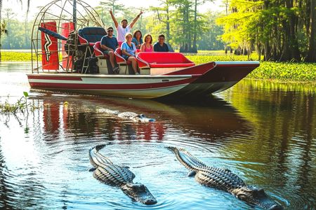 Everglades National Park airboat tour with pick-up from Miami