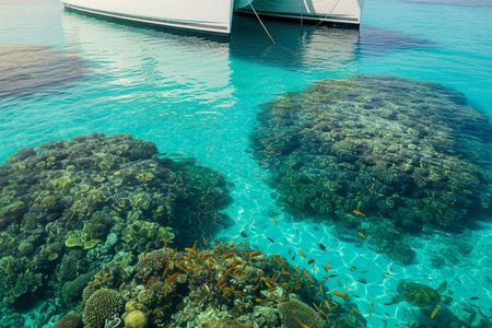 Key West Tour with Glassbottom Boat Ride from Miami Beach