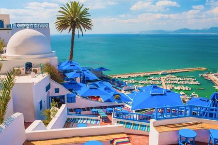 Private guided tour to Tunis, Carthage and Sidi Bou Said