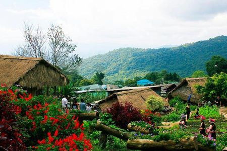 Half-day tour to Doi Suthep and Doi Pui Hmong Village in Chiang Mai