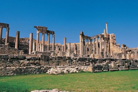 Bulla Regia and Dougga archaeological tour with lunch