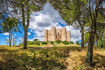 Half-day private tour to Castel del Monte from Bari
