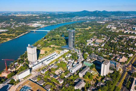 Bonn 2-hour city walking tour with a local guide