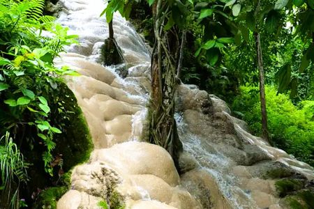 Half-day private tour with driver to Bua Thong Waterfall