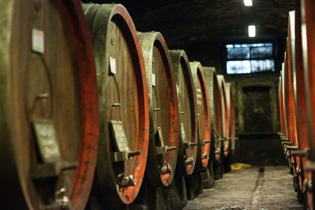 Chianti Rufina tour with wine tasting and lunch at Villa Travignoli
