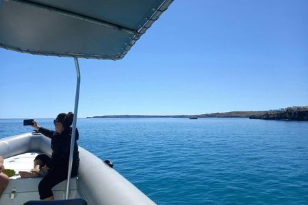 3-hour speedboat trip along Menorca's northern coastline from Addaia