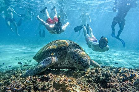 Koh Nangyuan and Hidden Bays Snorkeling Tour with Lunch from Kho Tao