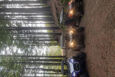 Private buggy off-road driving experience in Madeira