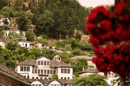 Gjirokastra Stone City full-day trip from Tirana