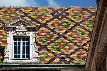 Dijon 2-hour introductory walking tour with a local