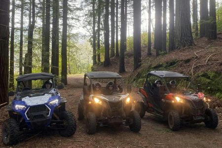 Private buggy off-road driving experience in Madeira