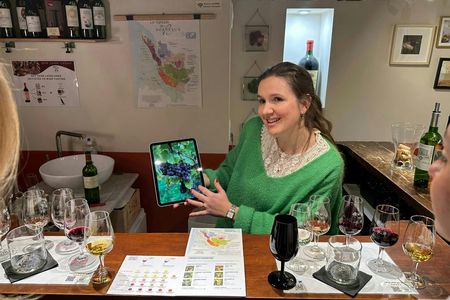 Bordeaux white wine tasting workshop with cheese pairing