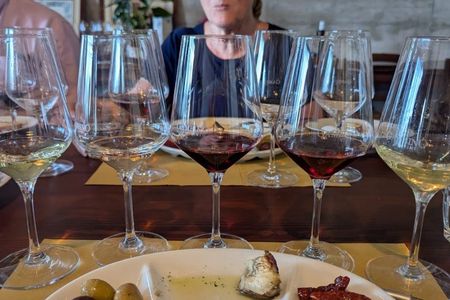 Wine and food tasting on Mount Etna vineyard from Taormina