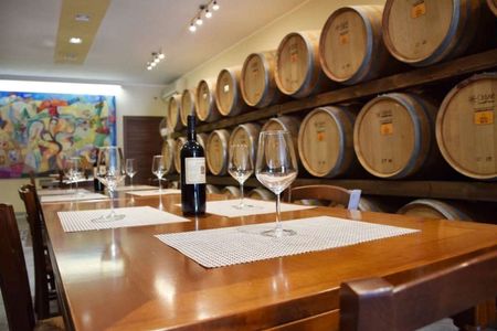 Negroamaro vineyard tour and wine tasting in Guagnano