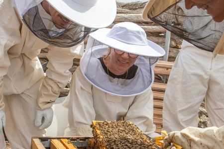 Beekeeping tour with honey tasting in Lanzarote