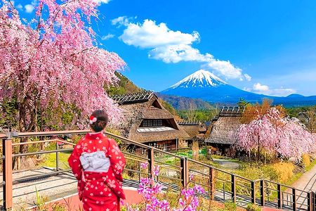 Mount Fuji top 4 must-visit attractions full day tour from Tokyo