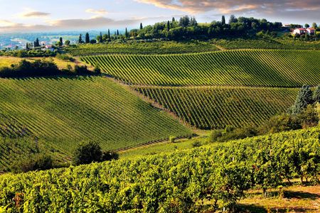 Chianti full-day guided tour with Tuscan brunch and wine tastings
