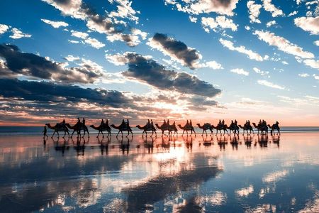 Camel ride and buggy adventure at sunset with BBQ dinner