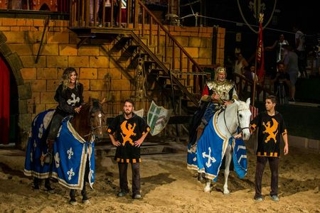 Dinner with Robin Hood themed show at Desafío Medieval