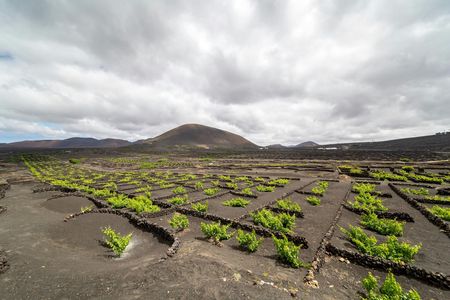 Guided three-wheeled motorbike tour in Lanzarote
