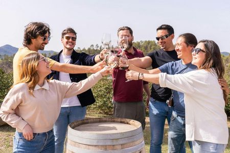 Montserrat full-day tour with lunch and winery visit