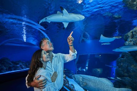 Cairns Aquarium Twilight guided tour with three course dinner