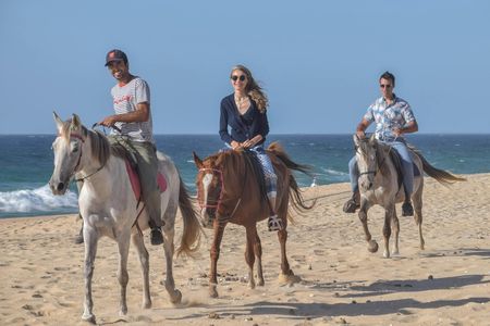 Horse riding private tour in Comporta natural reserve