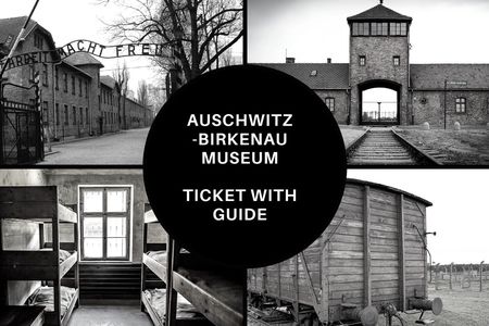 Entrance ticket and guided tour of Auschwitz-Birkenau
