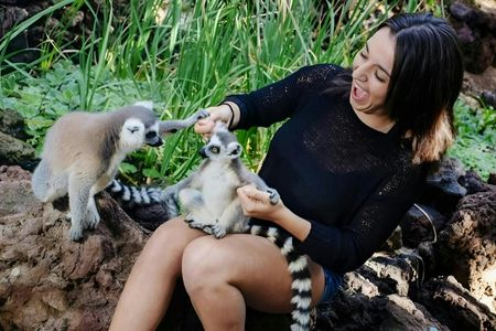 Oasis Park Fuerteventura entrance with lemur experience