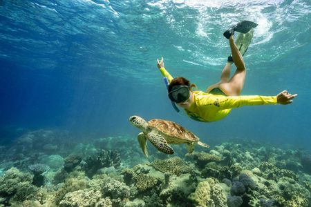 Half-day ocean safari Great Barrier Reef adventure