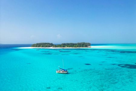 Zanzibar catamaran and snorkelling tour to Mnemba Marine Park