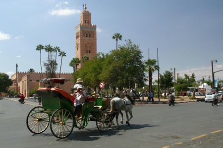 Private guided tour of Marrakech with pick-up from Casablanca