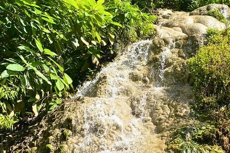 Half-day private van charter with driver to Bua Thong Waterfall