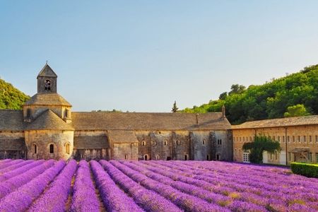 Provence lavender fields and Verdon Gorge guided tour from Nice