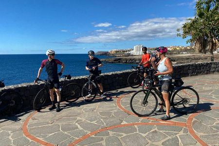 Guided e-bike tour to El Medano