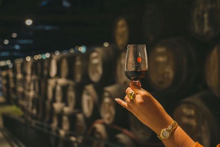 Taylor’s Cellar self-guided tour with Wine Museum experience