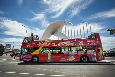 Santa Cruz City Sightseeing 24-hour hop-on hop-off bus ticket