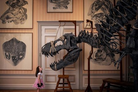 Entrance ticket to the Art Zoo Museum in Amsterdam with audio tour