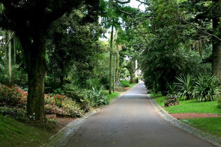 São Miguel Island Carvão Cave and gardens guided tour